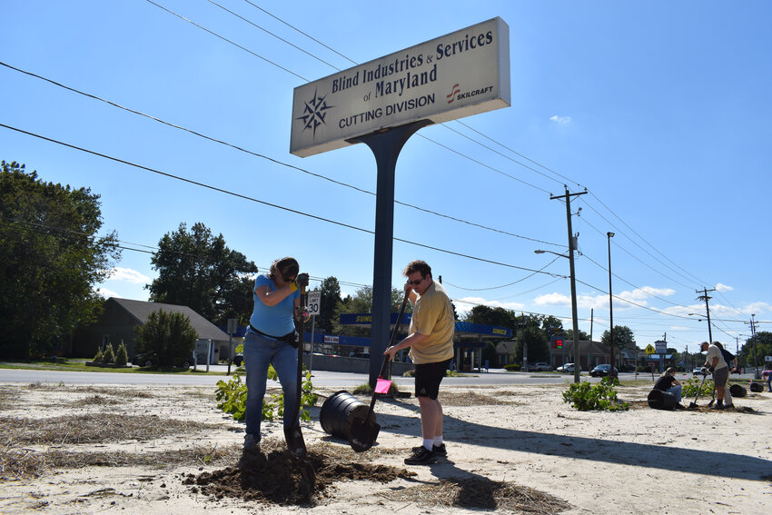 Salisbury University senior Bryce Machalek, right, of Potomac, is joined by a volunteer as they work on creating a place for grass and trees in the former parking lot of Blind Industries in Salisbury. Also involved with this capstone project were senior Emma Tarquino of Frederick and May graduate Grayson Laird of Crisfield, now a fifth grade teacher at Woodson Elementary School.