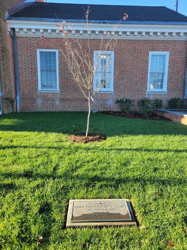 A Dogwood tree was planted in front of Smyrna town hall Nov. 6 in honor of Larry Potts, the United States Marine Corps captain who went missing in action in the Vietnam War in 1972..