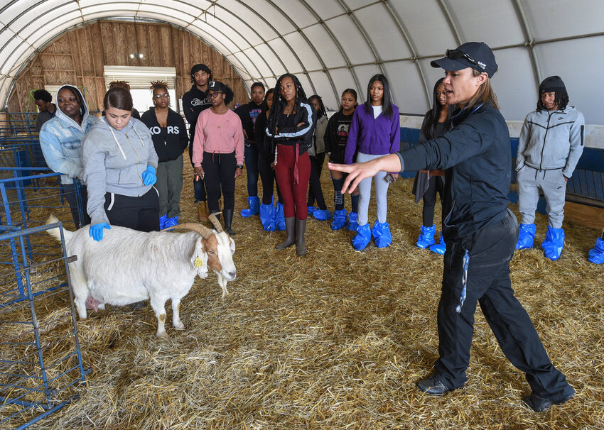 Dr. Kimberly Braxton, right, talks about goats being born as part of the UMES Extension and School of Agricultural and Natural Sciences program. An assistant professor and veterinarian at UMES, Dr. Braxton will be the interim founding dean for the new School of Veterinary Medicine at the University of Maryland Eastern Shore.