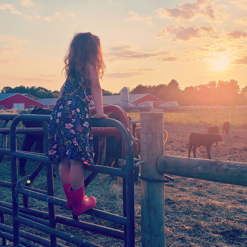 Photo by Alyssa Cowan earned first place honors in the Delaware Farm Bureau Promotion &amp; Education Committee&rsquo;s annual photo contest.