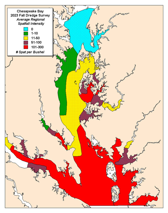 Oyster spatfall intensity and distribution in Maryland, 2023. Intensity ranges represent regional averages.
