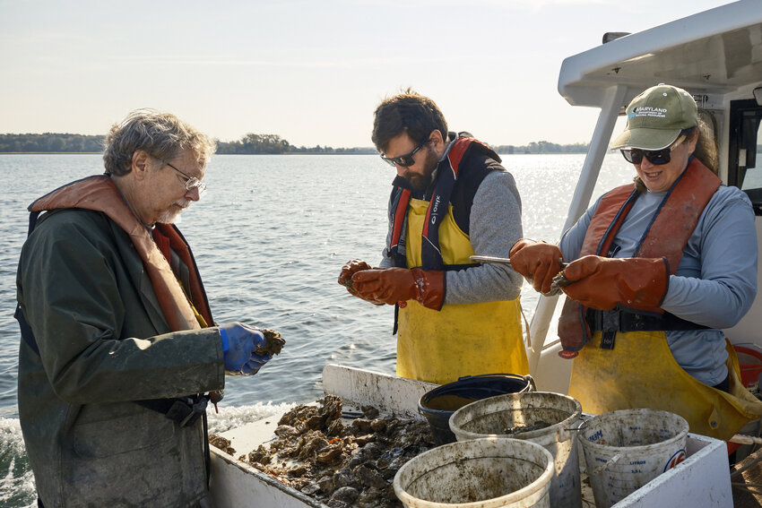 Maryland Department of Natural Resources Secretary Josh Kurtz, center, joins Fishing and Boating Services staff to analyze oyster spat during the fall survey.