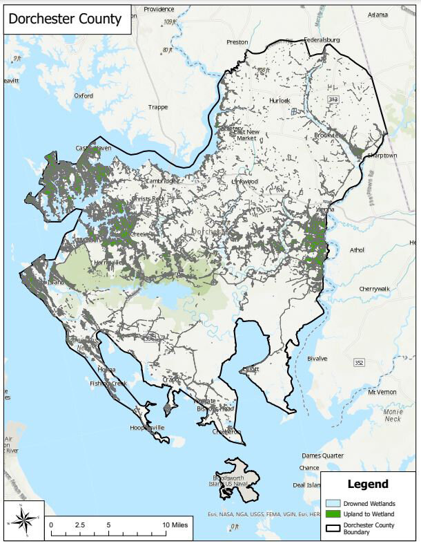 Results of the updated SLAMM in Dorchester County, an area particularly prone to flooding and rising sea levels. By 2100, over 26,000 acres of upland to wetland conversion are projected.