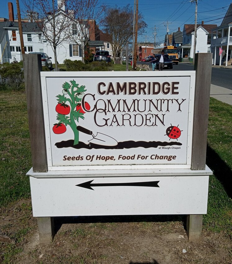 Located behind the historic Waugh Chapel UMC on High Street, Cambridge Community Garden begins its ninth season April 27.