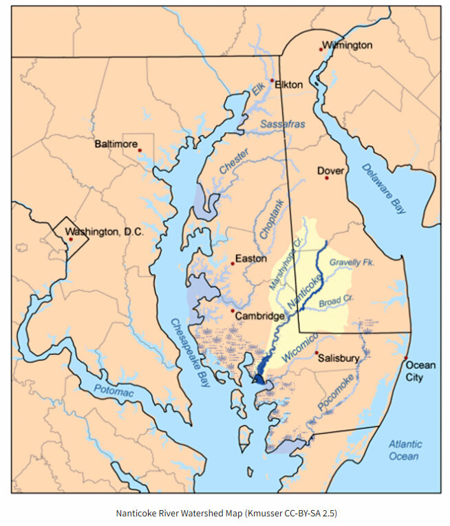 The map above shows where the Nanticoke River's watershed extends from southwestern Wicomico County in Maryland into southwestern Delaware.