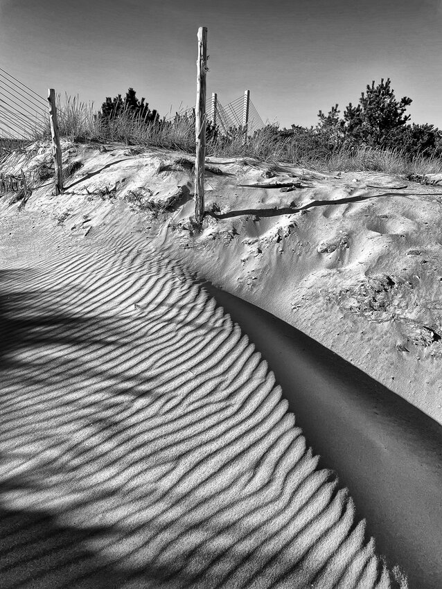 Dan Laughman of Magnolia took this black and white photo on Jan. 29 of the path across the dunes at Indian River Inlet. To contribute your scenic photos of our area, email newsroom@iniusa.org. Photos must include your name, where and when your photo was taken and where you live. Share your photos with @dailystatenews on Instagram using #scenicdelaware. To see more Scenic Delaware photos, visit the Scenes from Bay to Bay section at BaytoBayNews.com.