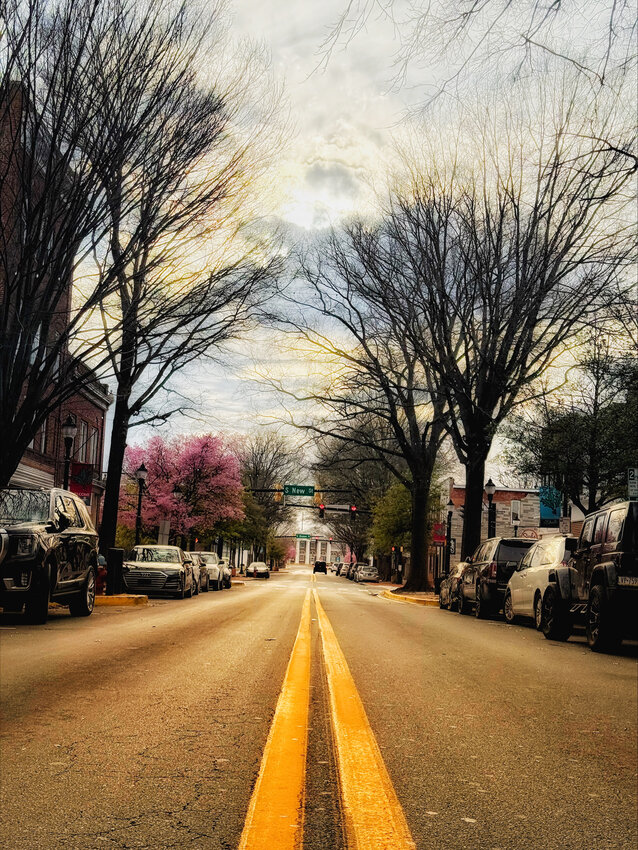 Jitka Ellis offers a glimpse of spring just ahead while on Lookerman Street in Dover.