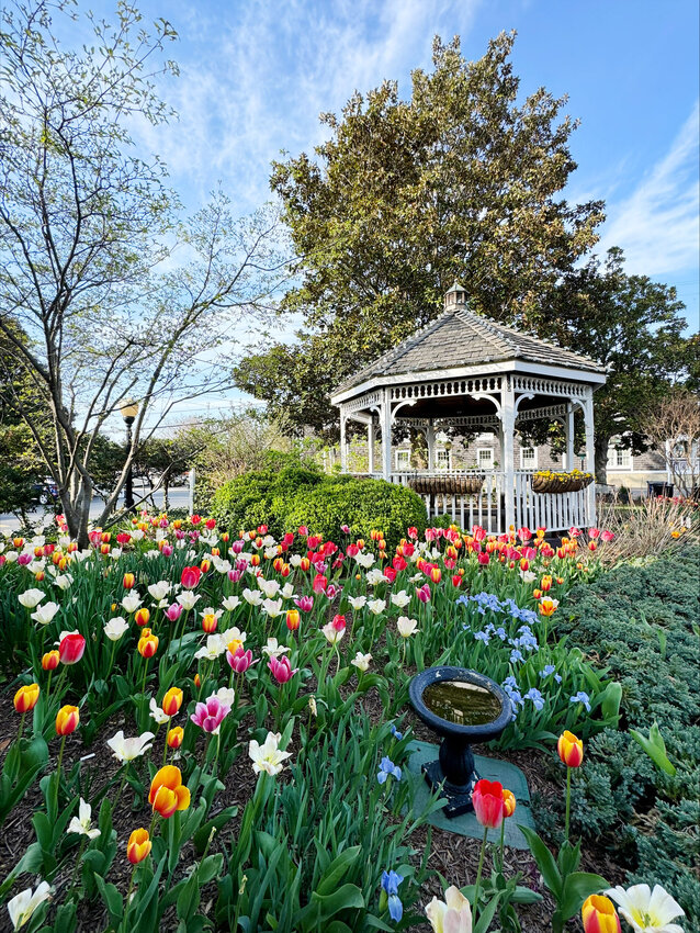 Beth Petit de Mange of Dover enjoyed this scene from the Lewes Tulip Festival time. The beautiful gardens were created and maintained by Lewes In Bloom volunteers.