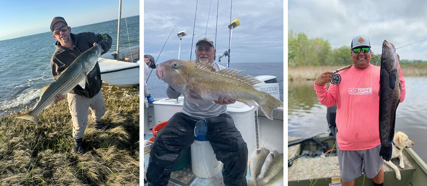 Dnr Recognizes Three Master Angler Milestone Award Winners In The Fishmaryland Program,