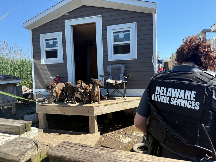 CRIME Smyrna man charged with 19 counts of animal cruelty