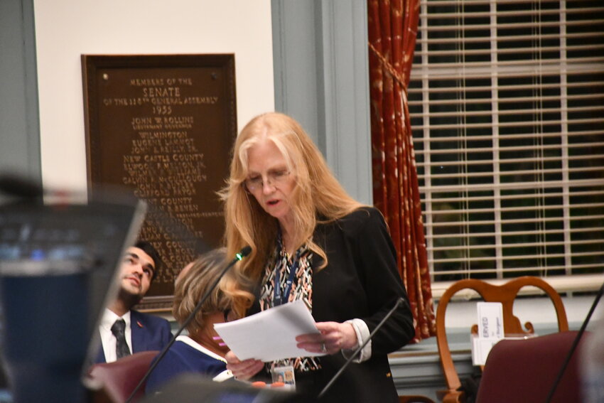 Data center rules stir debate on Delaware General Assembly’s last day