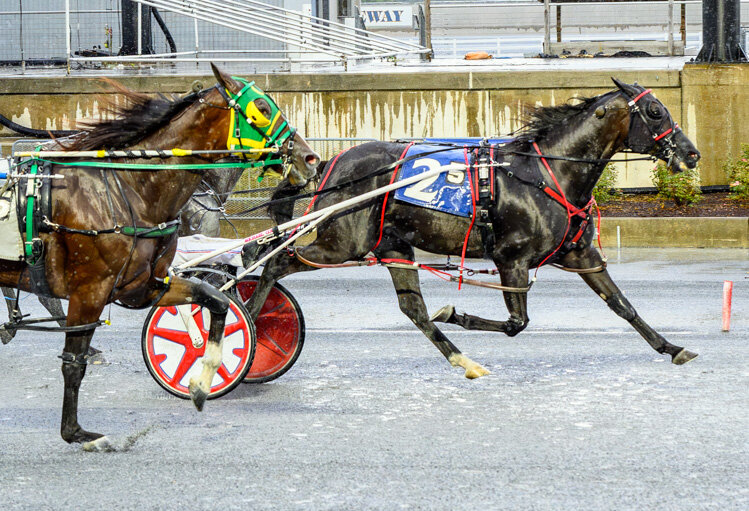 George and Tina Dennis Racing&rsquo;s Wager On Me ($31.20, Mike Cole) was an upset 1:52.3 winner in the $22,500 Open Pace on Monday at Harrington Raceway. HARRINGTON RACEWAY PHOTO.