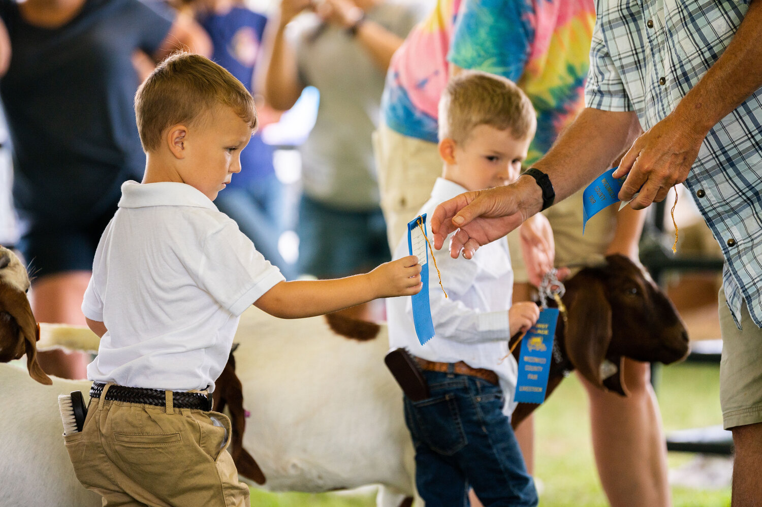 County Fair returns to WinterPlace Park this weekend Bay to