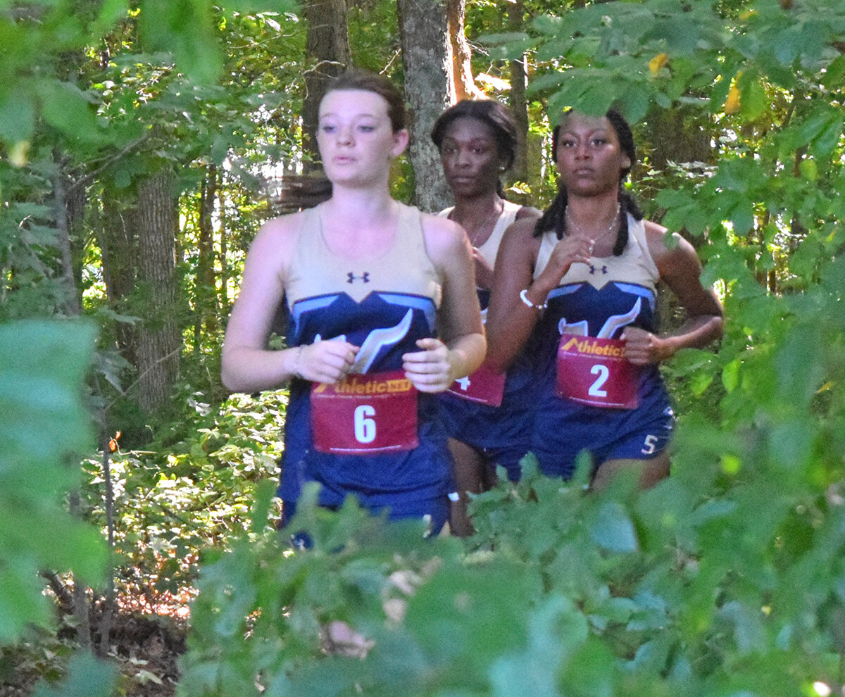 Foliage frames Lady Vikings, from the left, Evelyn Windsor, Destini Palmer and Tembra Jones.