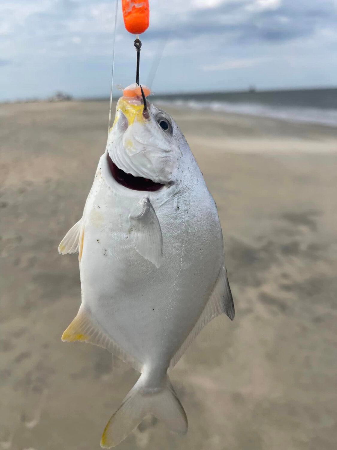 Michelle Hurff and crew caught pompano at The Point.