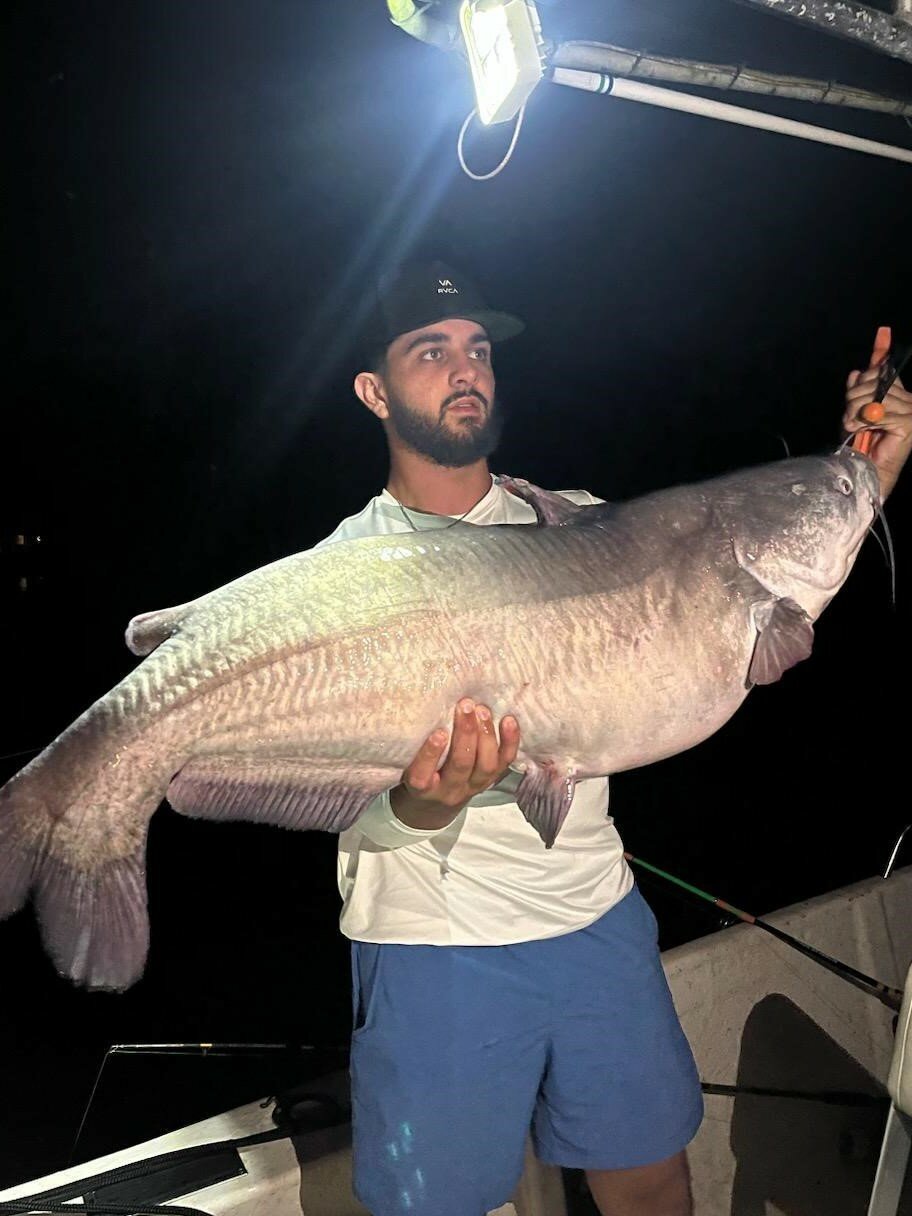 Chris Andrews’ night-time fishing trip with friends on the Nanticoke River in Seaford netted him a state-record 48-pound, 7-ounce blue catfish that eclipsed a Delaware record for the species that lasted less than a year.
