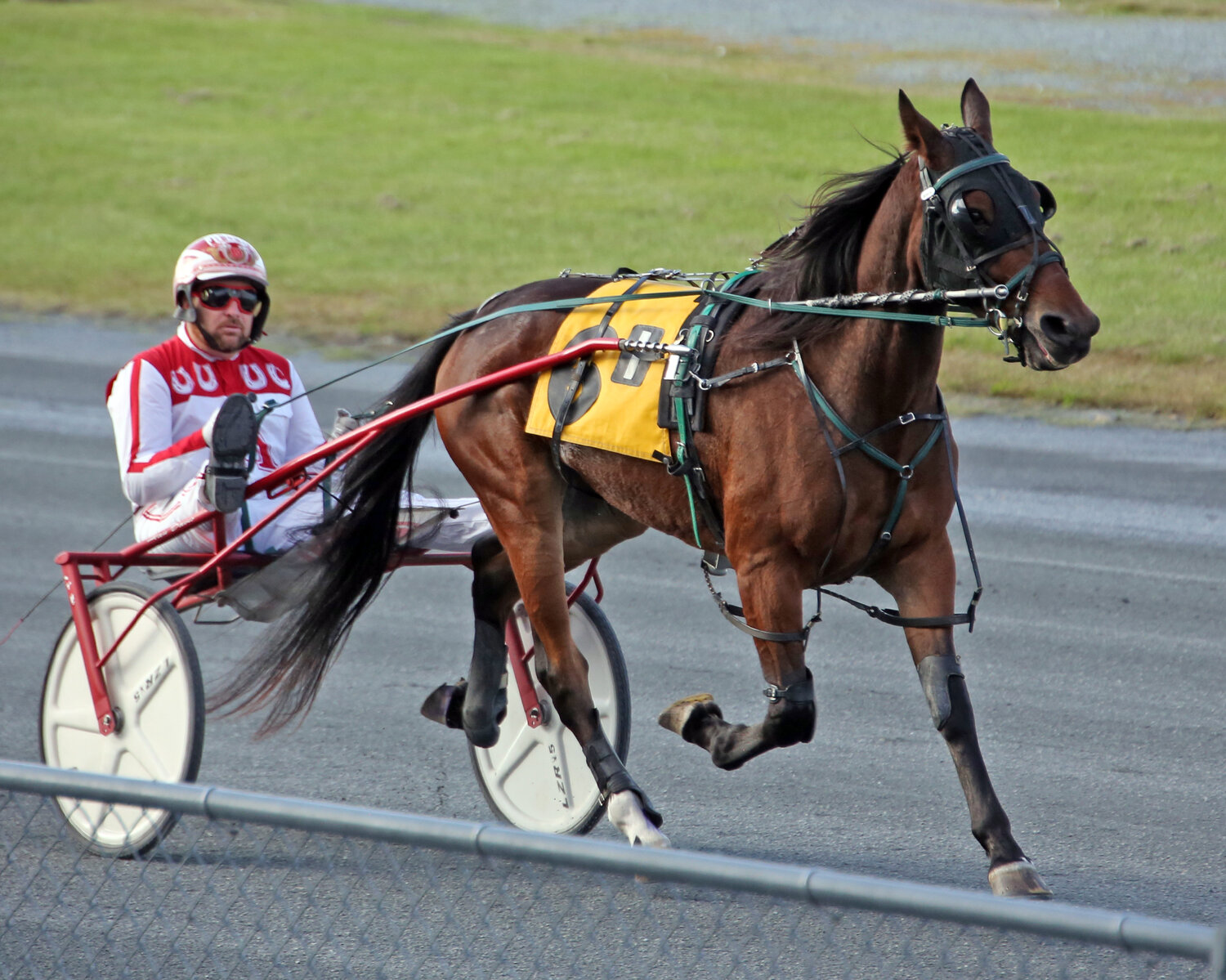 Allan Davis, who won the fall driving title at Harrington Raceway, guides Sumkindofmagic prior to the first race Wednesday night.