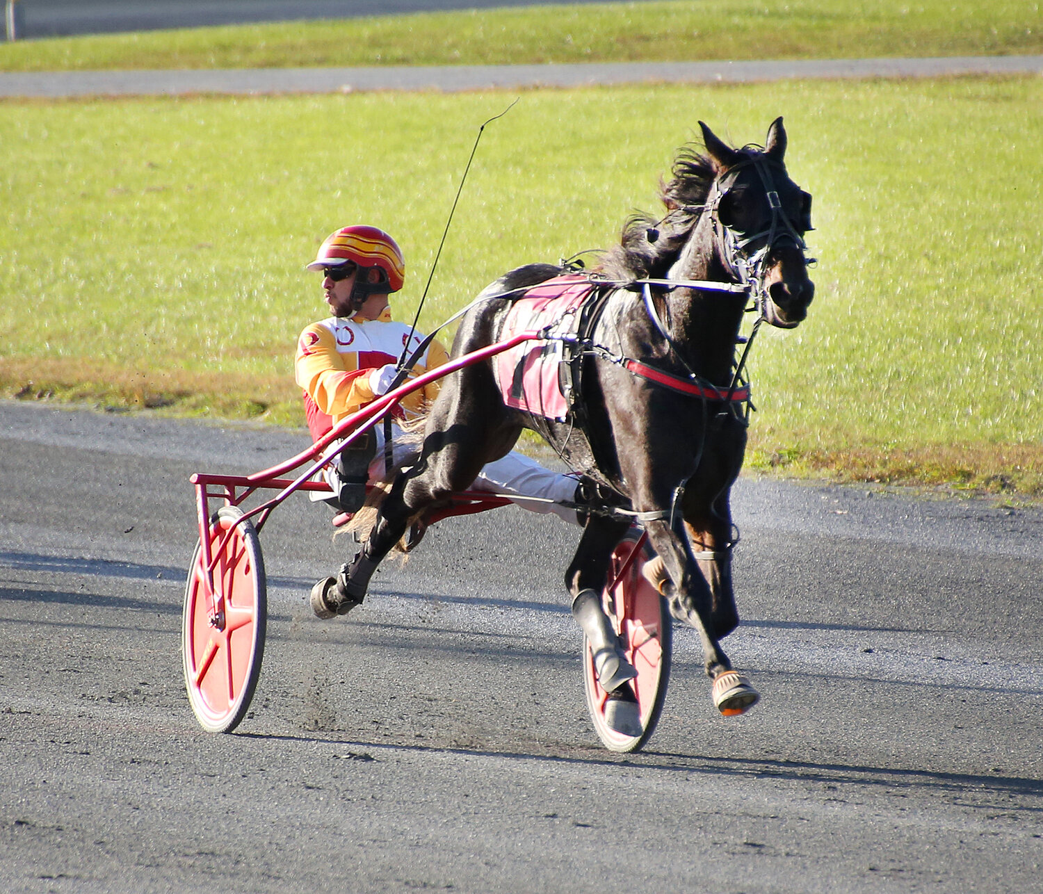 Trotter Starlight Lounge, driven by Cody Poliseno, cruises to a win in 2:01 in the first race Wednesday  night at Harrington Raceway.