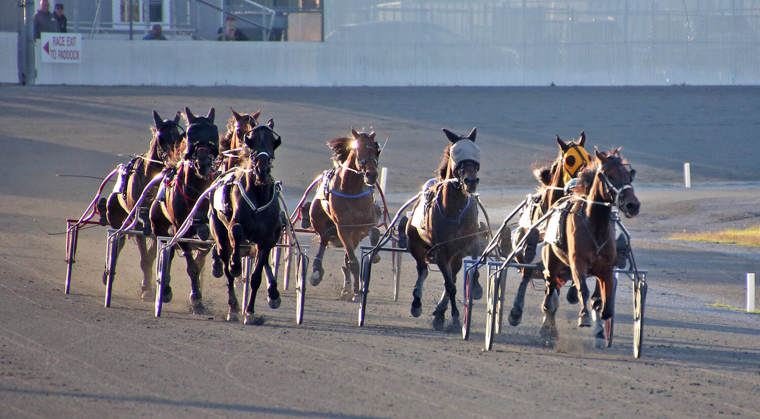 From a distance, you cannot see the drivers behind these trotters heading toward the halfway point of the fourth race Wednesday at Harrington Raceway.
