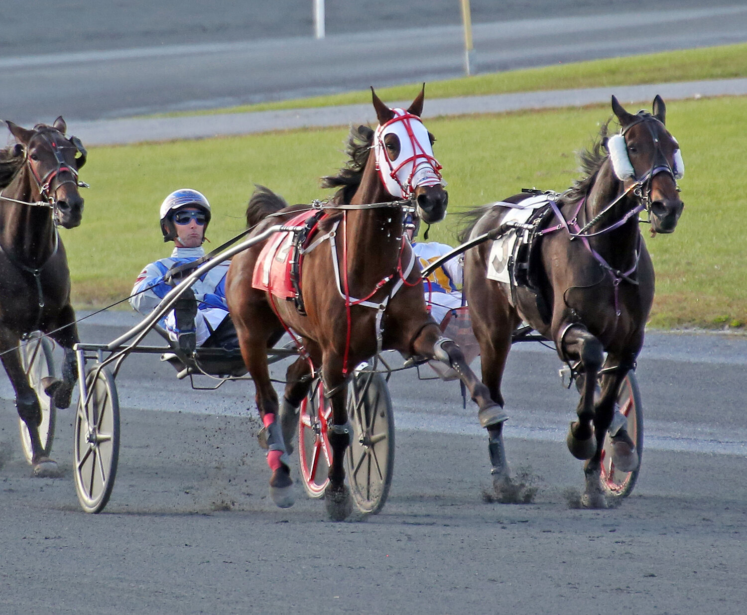 Driver Art Stafford Jr. guides Unbelievable Kemp down the stretch to win the second race Wednesday night at Harrington Raceway. It was the final night of the fall harness racing meet.