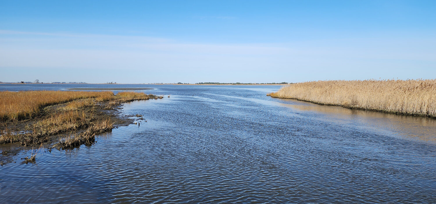 The Prime Hook marsh area near Broadkill Beach is a great little place to fish and bird watch.