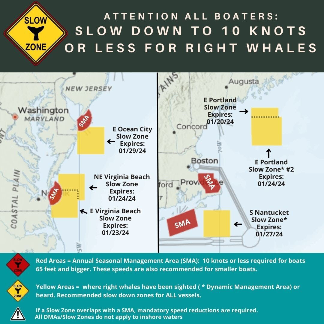 The Maryland DNR and NOAA have announced the right whale slow zone east of Ocean City has been extended through Jan. 29. Mariners are requested to avoid or transit at 10 knots or less inside the areas where right whales have been detected..
