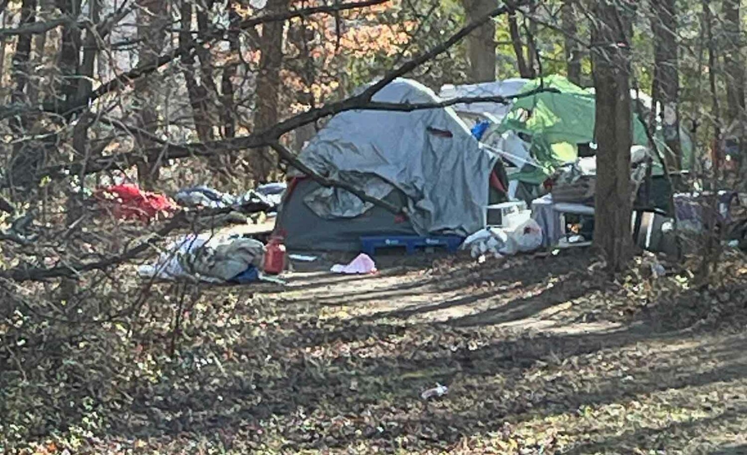 Dover’s homeless population spreads far and wide | Bay to Bay News