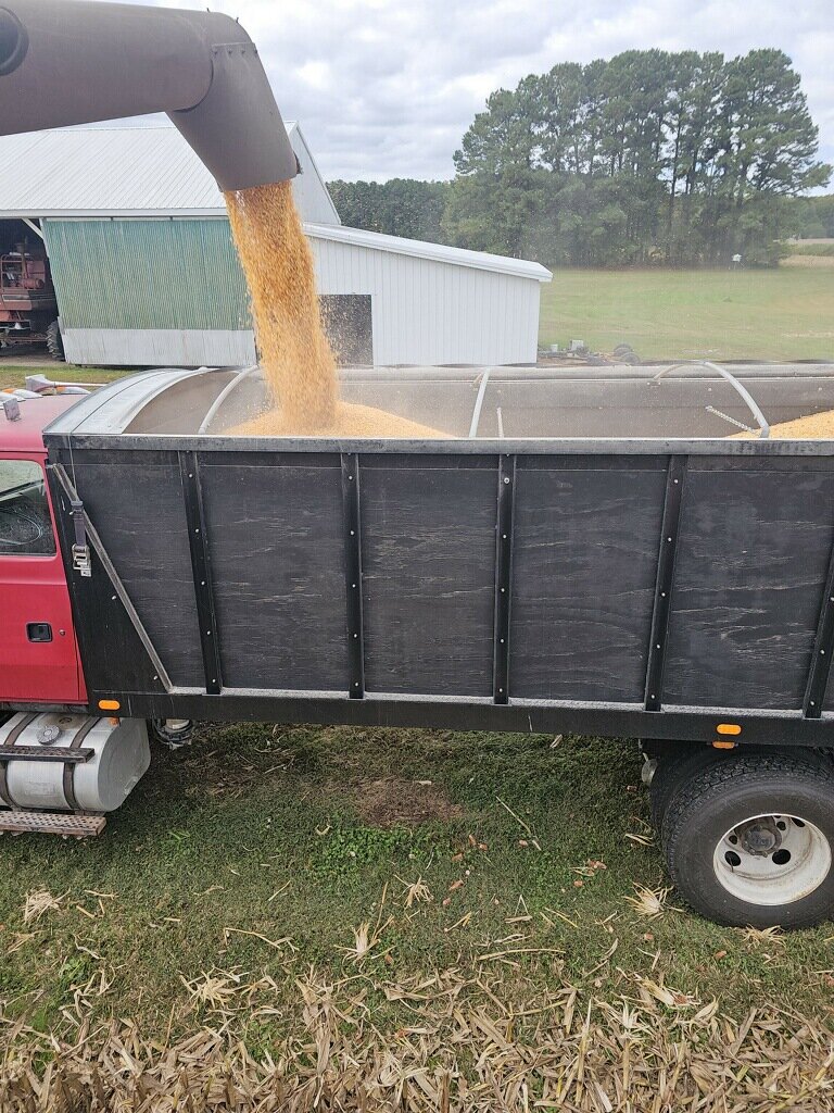 Kent Co. corn, soybean farmer concerned for future | Bay to Bay News