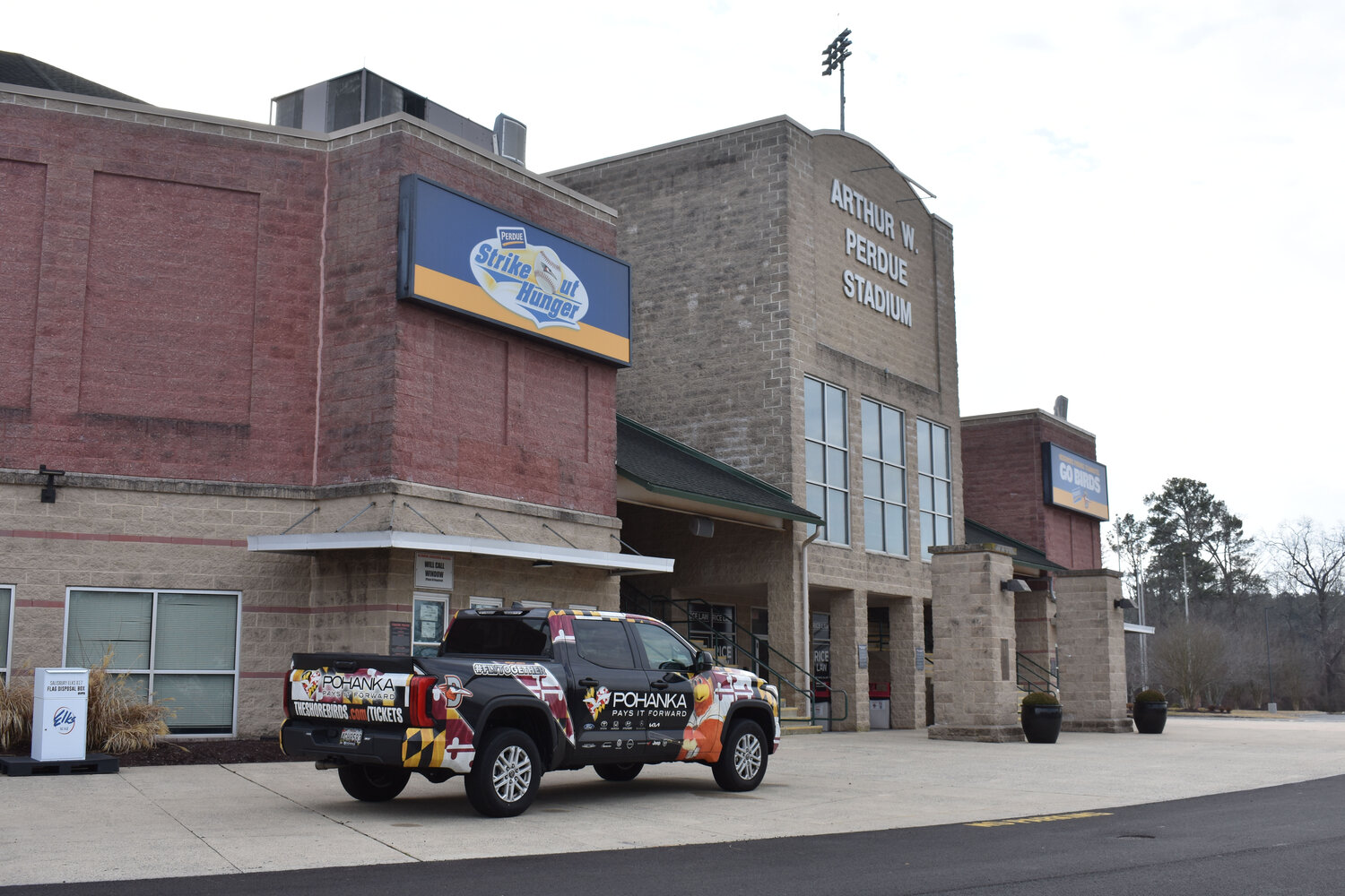 Play ball: Shorebirds are back in town - Bay to Bay News