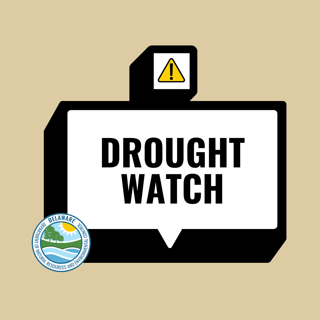 Governor Meyer declares Delaware drought watch