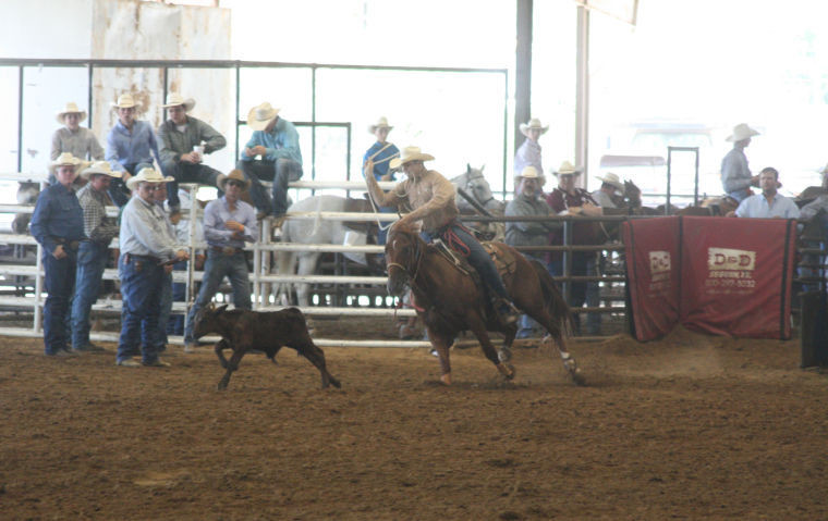 Cullen Eppright was one of five Gonzales County athletes to compete in the Texas Youth Rodeo Association state finals last week. Eppright dominated the junior boys tie down, taking first in the first go and never relinquishing that lead.