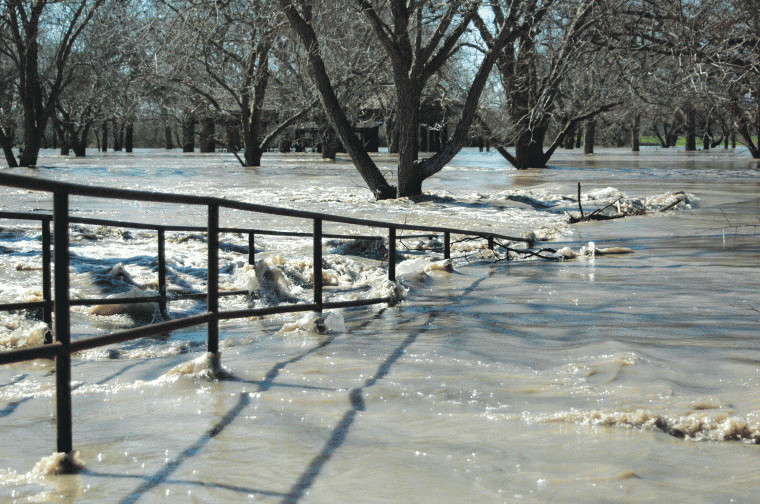 The Guadalupe River overflowed its banks by midday Thursday, as
the swift-moving, muddy water inundated most of Independence Park
and floodwaters swelled to more than 40 feet -- 9 feet over flood
stage -- by late afternoon.