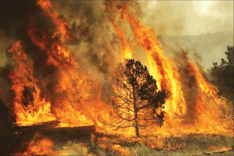 Below average moisture and above average temperatures through
the end of the year will keep the risk for wildfires high
throughout the state.
