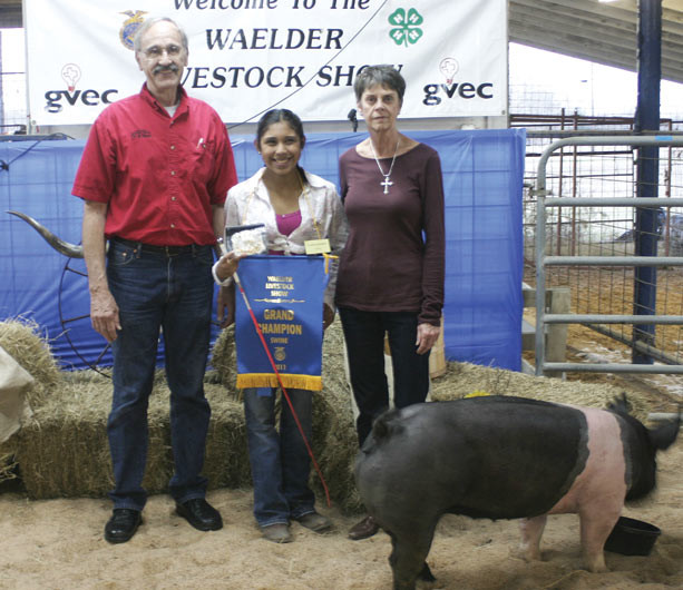 Marissa Ramirez won Grand Champion Market Swine at the 2011 Waelder Livestock Show on Friday. Ramirez’ swine was auctioned off for $2,515 with the premium buyer being Gonzales Building Center.