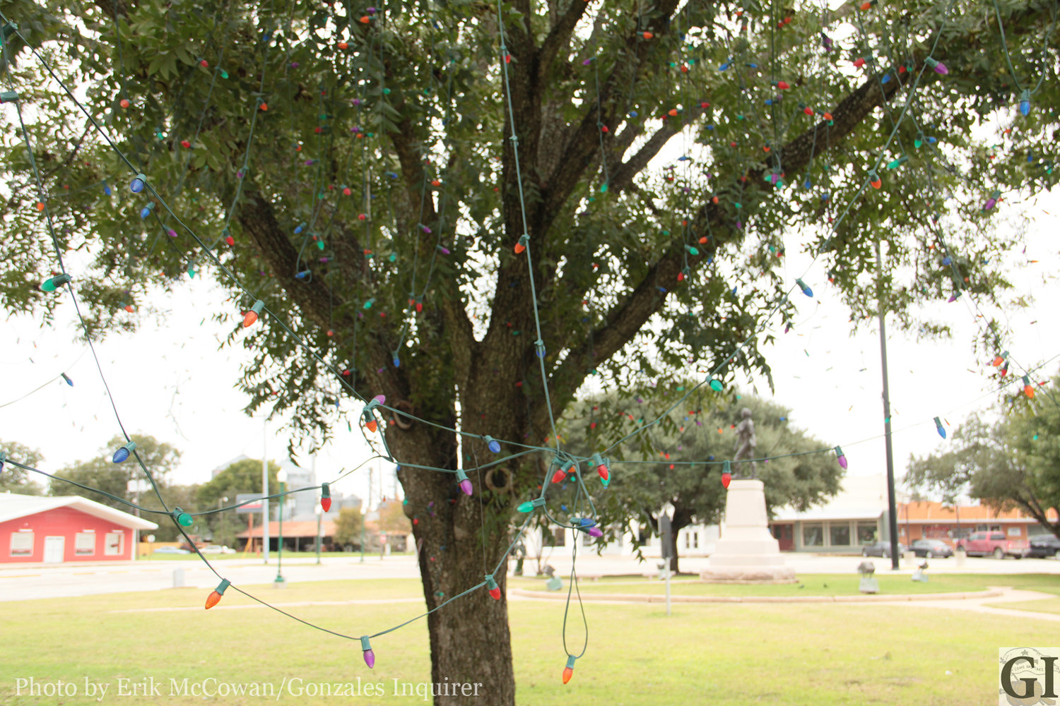 A tangle of holiday lights swing in the breeze from an oak tree over at Texas Heroes Square. The lights are remnants of a Gonzales Main Street project a couple years ago that purchased and hung the lights for the December festivities. Volunteers are scheduled to have a look and see if the lights can be salvaged.