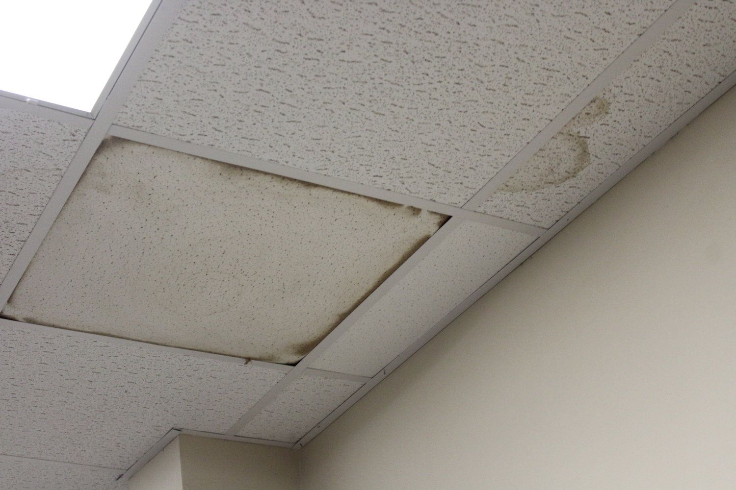 Though Victoria College maintenance staff is usually quick to replace water-stained roof tiles, some still remain. All tiles pictured above are featured in the Victoria College Workforce Training Facility, the building of interest at Gonzales city council’s meeting June 13.
