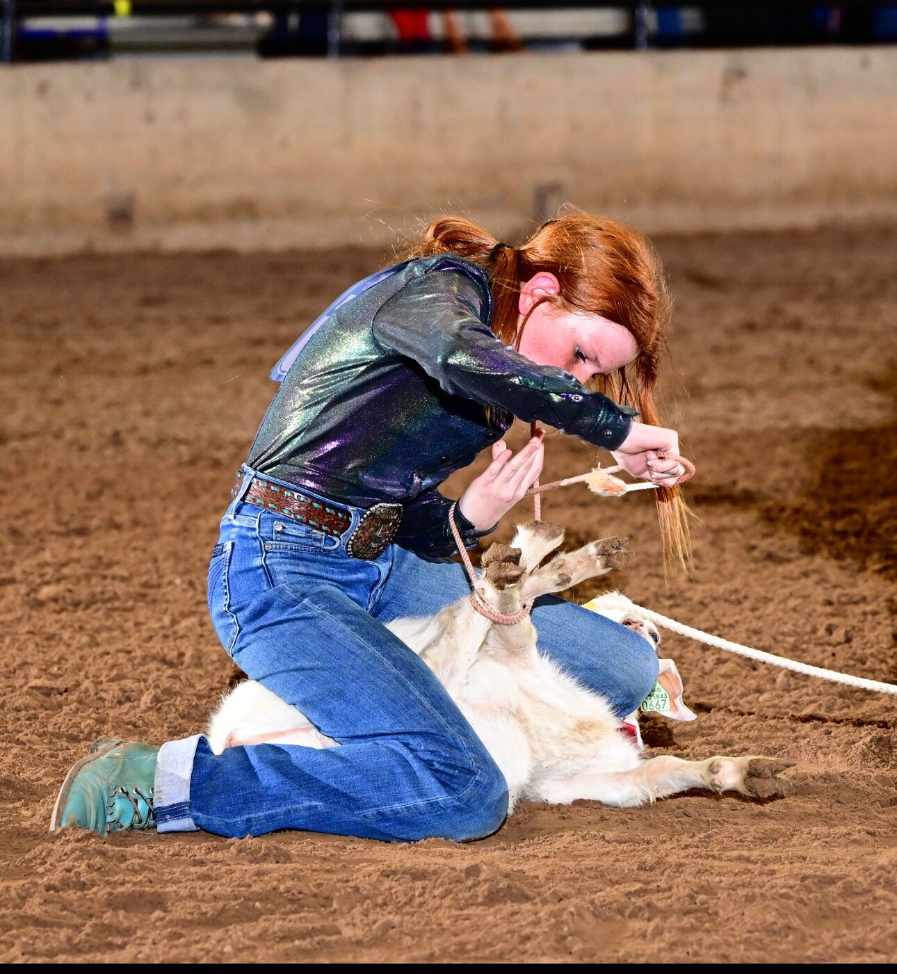 Emme Albert, 12, ties up a goat for the goat tying competition.