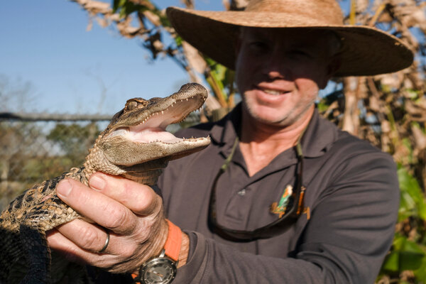 (Micah Green / GCM file photo) Alligator Alley in Summerdale offers a unique adventure where visitors can observe and interact with rescued alligators in a safe, natural setting.