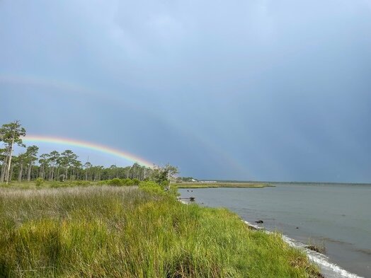 (Photo provided/Facebook) Spanning 28 miles through Gulf State Park, this multi-use trail connects Gulf Shores and Orange Beach, offering a scenic journey through diverse ecosystems.