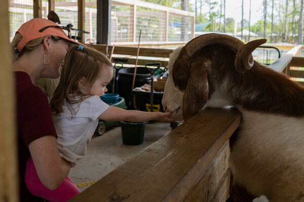 Katie Winn lifts her niece to feed a Nubian mixed goat.