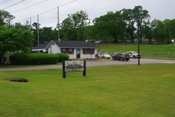 A new Daphne animal shelter is one of the projects officials said are needed in the city. City council approved a $2 per night lodging fee to raise money for city projects in 2022.