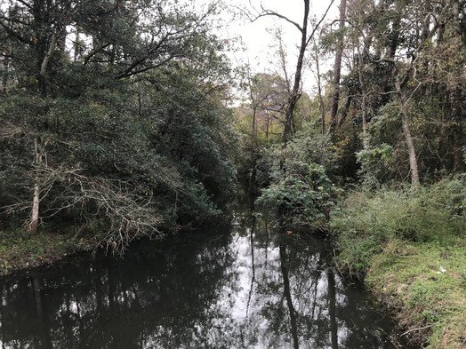 Wolf Creek is one of the streams in the Foley area that will be restored with a $2.8-million state grant. The money is part of $47 million in funding for environmental grants on the Alabama Gulf Coast.