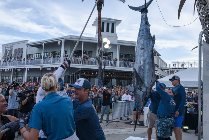 The biggest billfish are hauled out of the Gulf of Mexico and put on display at The Wharf in Orange Beach as part of the &ldquo;Super Bowl of Sportfishing.&rdquo; The 11th annual Blue Marlin Grand Championship will be held July 12-16 as one of the highlights of the next year in Baldwin County sports.