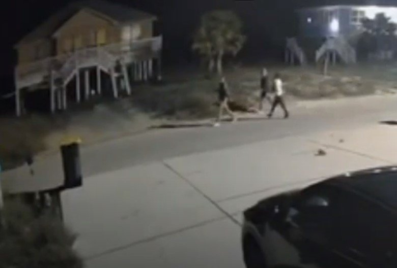 Surveillance video from a home in the area captured individuals Baldwin County Sheriff's Office believes could be responsible.