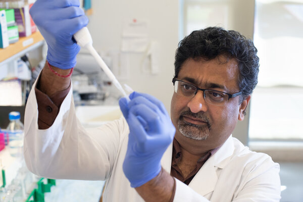 Ajay Singh, Ph.D. Professor and Director of Research Department of Pathology, University of South Alabama Whiddon College of Medicine Program Leader, Cancer Biology   USA Health Mitchell Cancer Institute