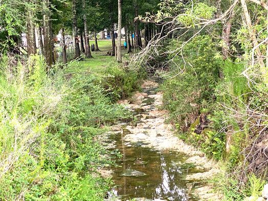 In July, the city began a project to remove debris and sediment on the Bon Secour River. The material was left after Hurricane Sally struck the area in 2020. Darrell Russell, Foley public works director, said that debris was removed, but officials found that the river was still not draining.
