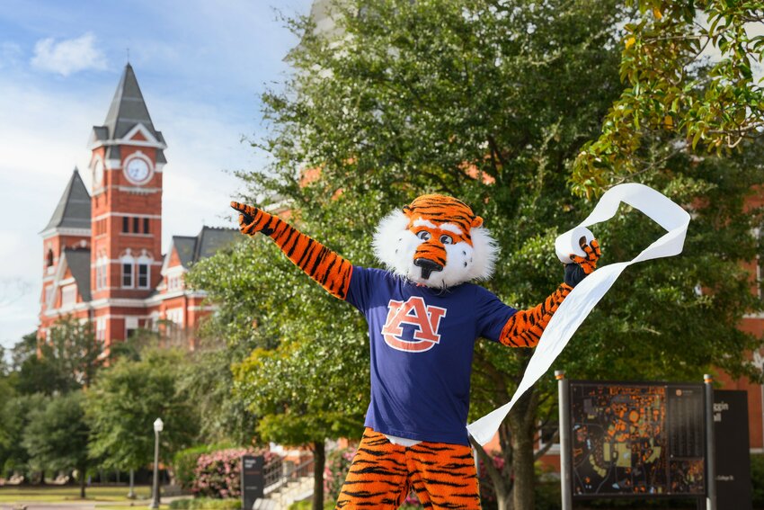 Auburn University announced the time has come to allow the rolling of the Auburn Oaks at Toomer&rsquo;s Corner following victories. The two current Auburn Oaks were planted in 2017 and the university wanted to provide adequate time for the trees to get established before restarting the tradition.