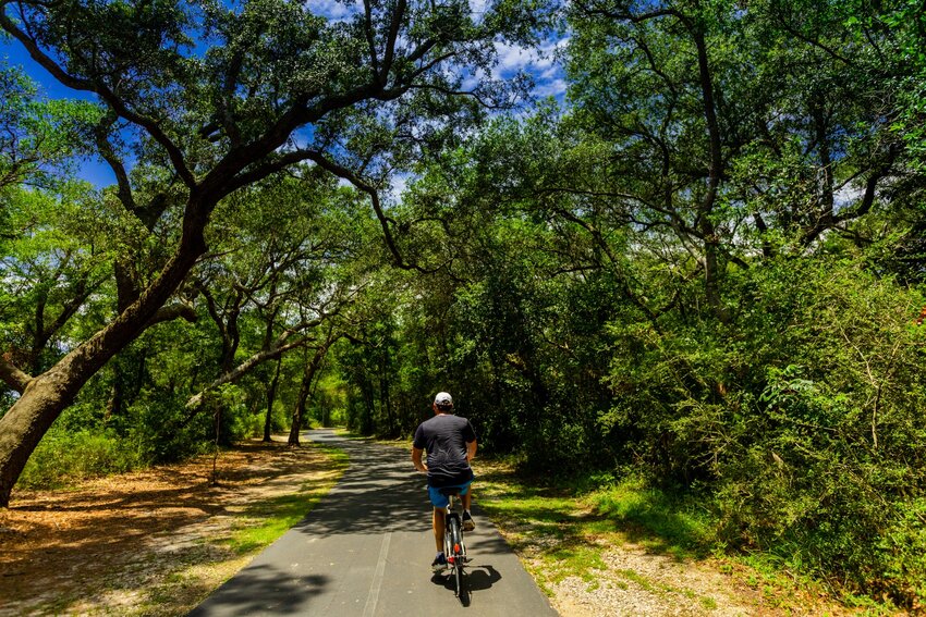Join the naturalists of Gulf State Park on a one-hour guided bike ride on the trails of Gulf State Park.