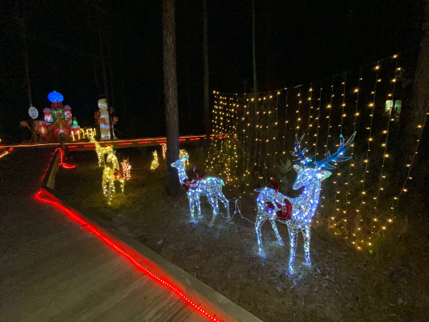 Displays light up the Graham Creek Nature Preserve&rsquo;s 2023 Christmas Trail. The trail will open Friday, Dec. 8.