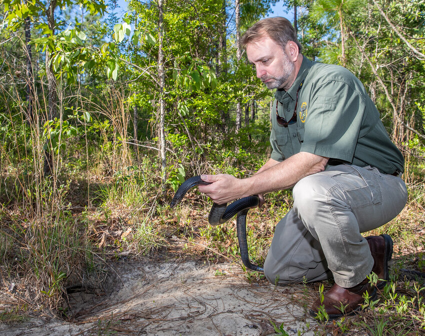 According to Chuck Sykes, Association of Fish and Wildlife Agencies&rsquo; newly-elected president, one of association&rsquo;s priorities is funding for nongame species like the eastern indigo snake.